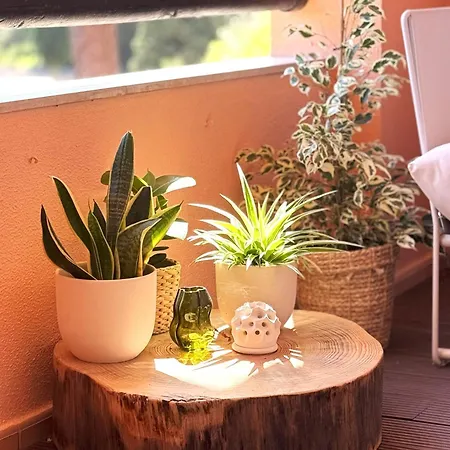 Apartamento Greenview Golf *